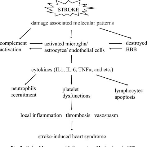 Figure 3 From Systemic Immune Inflammation Index Is Associated With