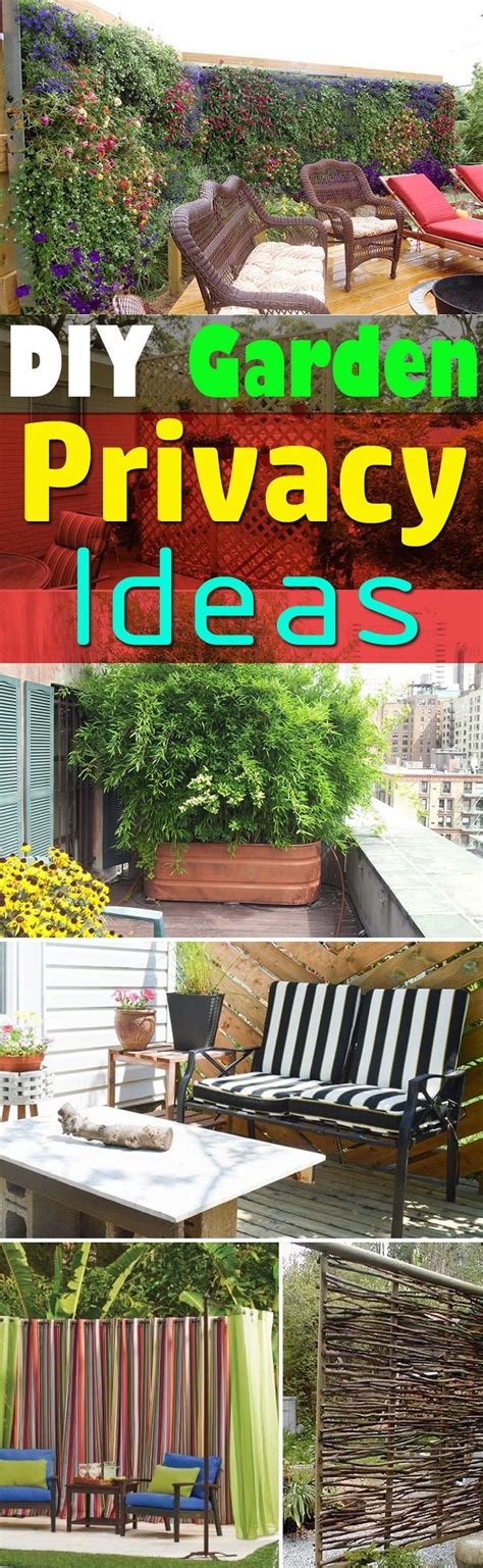 Diy Garden Privacy Ideas That Are Affordable Incredible Garden