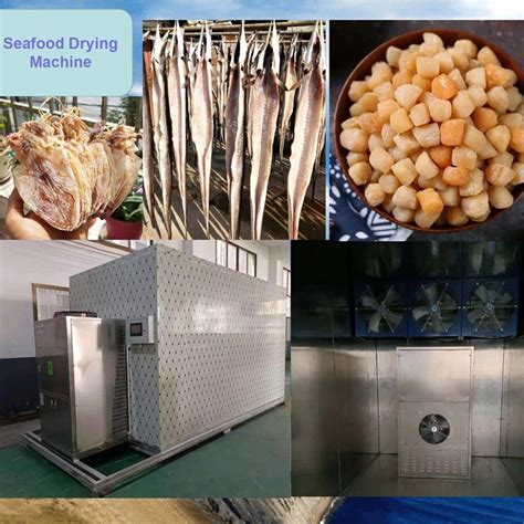 Industrial Small Scale Fish Shrimp Seafood Heat Pump Drying Chamber