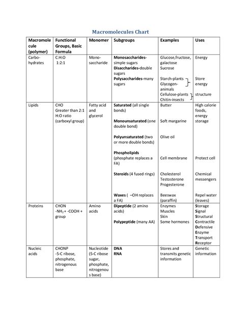 Macromolecule Chart Worksheet Exercises Biology Docsity