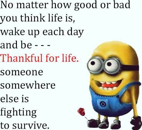 Minions quotes, Minions love, Minions