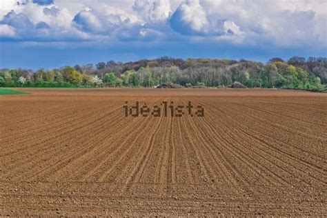 Terreno In Vendita A Venafro Volturno Molisano Isernia Idealista N