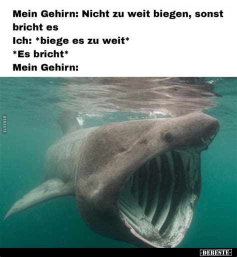 Mein Gehirn Nicht Zu Weit Biegen Sonst Bricht Es Ich Biege Es Zu