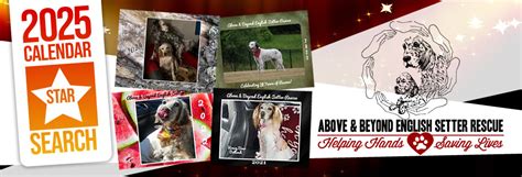 Above Beyond English Setter Rescue Above Beyond English Setter