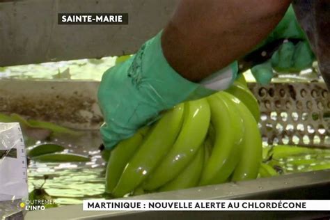 REPLAY Chlordécone nouvelle alerte en Martinique à la une de l info