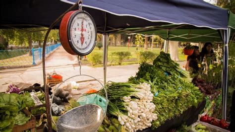 Regresa La Gran Feria Agroproductiva Con M S De Puesteros