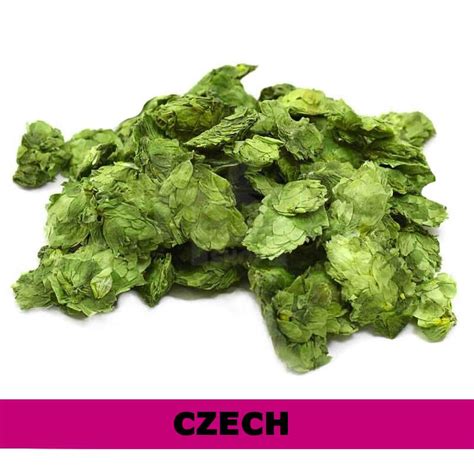 Saaz Hops 100g | A Taste of Tradition in Every Brew