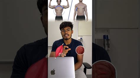 Final Step To Lose Fat And Build Muscle Same Time In Tamil Bulking