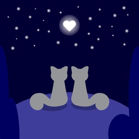 Dois Gatos Apaixonados Estão Sentados Em Uma Colina Ao Luar Na Forma De Um Romance De Ilustração