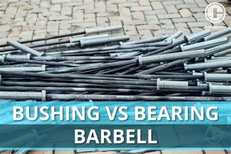 Bushing Vs Bearing Barbell Which Is Better