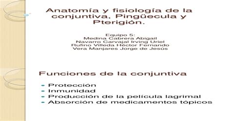 Anatom A Y Fisiolog A De La Conjuntiva Ping Ecula Pptx PDF Document