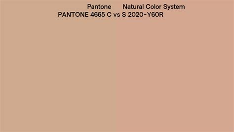 Pantone 4665 C Vs Natural Color System S 2020 Y60r Side By Side Comparison