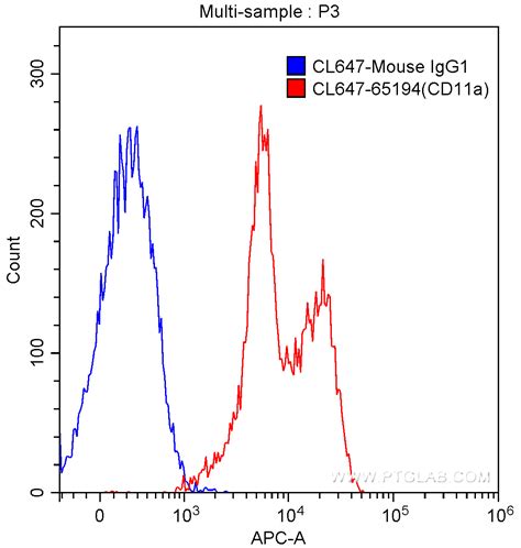 Cd A Antibody Cl Proteintech