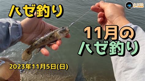 【ハゼ釣り】 11月のハゼ釣り 2023年11月5日 Youtube