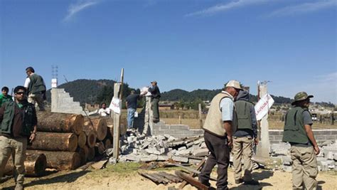 Incautan Metros C Bicos De Madera En El Ajusco Teorema Ambiental