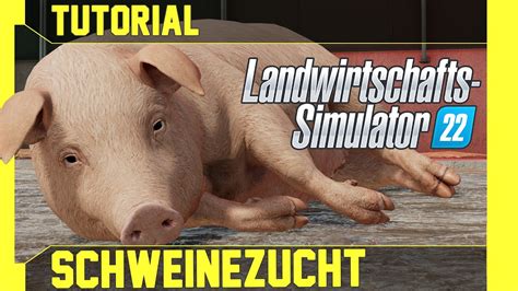 LS 22 Schweine Tutorial Kurz leicht und verständlich erklärt YouTube