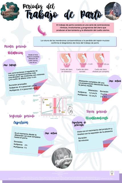 Periodos Del Trabajo De Parto Ivonne Lopez UDocz