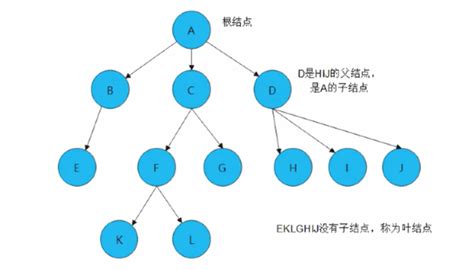 带你全面的了解二叉树 知乎