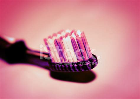 Toothbrush Funky Purple Stock Photo Royalty Free Freeimages