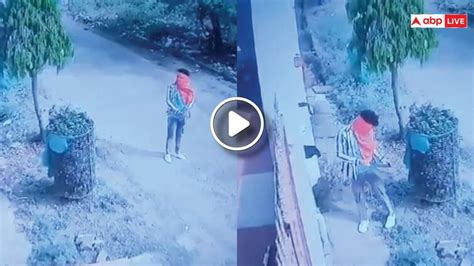 Mp Thieves Stealing Womens Undergarments In Jabalpur Police Arrested One Accused Video Viral Ann