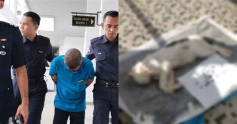 Gara Gara Tembak Kucing Jiran Hingga Mati Warga Emas Didenda Rm K