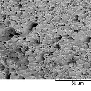 Fracture Surface SEM Images Of The 1000 S 1 Tested Specimen Magnified