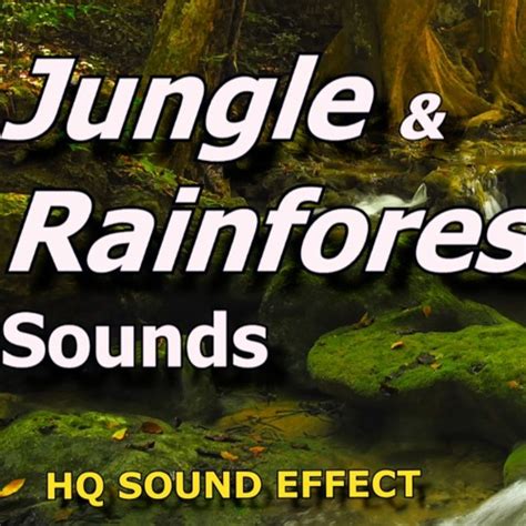 Stream Nature Rain Forest Jungle Sound Effects by allcastcoUK | Listen ...