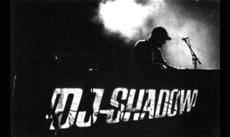 Reconstructed The Best Of Dj Shadow Dj Shadow 2 X Lp Music Mania