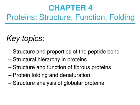 Ppt Chapter Proteins Structure Function Folding Powerpoint