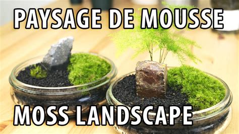 Comment créer un paysage miniature de mousse Bonsaï