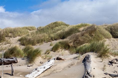 Oregon Coast, West Coast Beaches, Pacific Northwest Beach Stock Photo | Adobe Stock