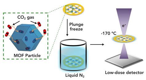 Carbon Dioxide Molecules [image] Eurekalert Science News Releases