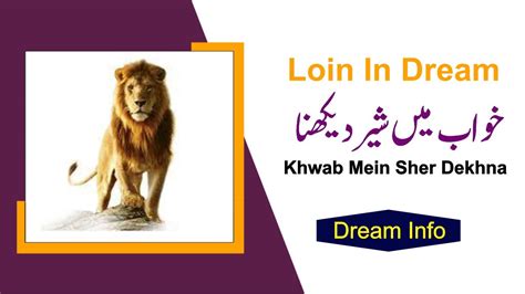 Lion Dream Interpretation Khwab Mein Sher Dekhna Khwab Mein Sher