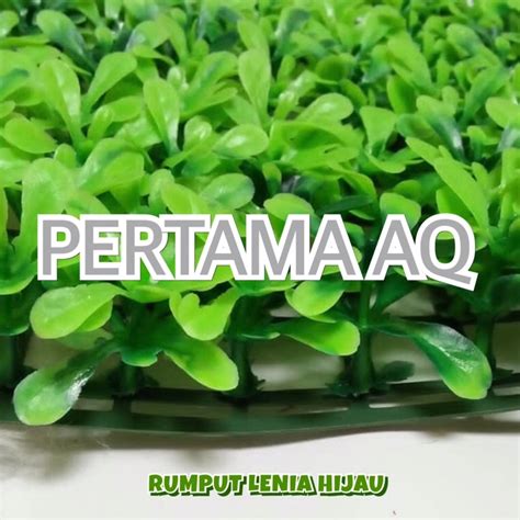 Jual RUMPUT LENIA 25 X 25 Cm FULL Rumput Plastik Rumput Dasar Rumput