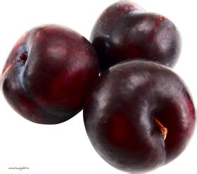 Download plum png images background | TOPpng