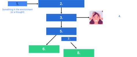 Physiological Responses To Acute Stress Stress Lecture Flashcards