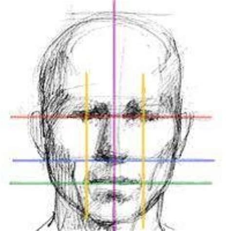 How To Draw Faces For Beginners Ehow Face Drawing Drawings Drawing Techniques