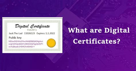 What Are Digital Certificates And How They Protect Website Data