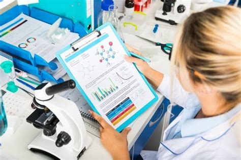 Investigación científica concepto caraterísticas etapas ejemplos