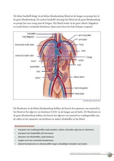 Hart En Bloedvatenhet