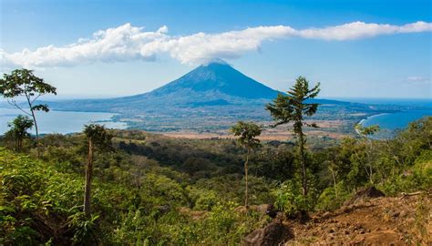 Plants & Animals Around Volcanoes | Sciencing