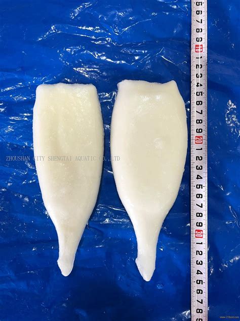 High Quality Various Size Frozen Squid Tubes Todarodes Illex China Oem