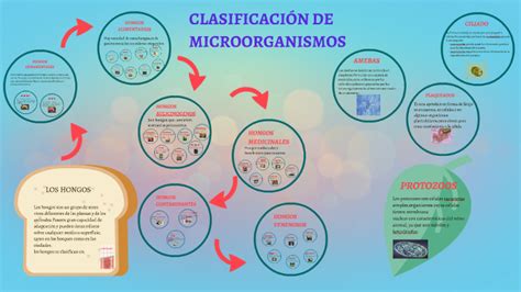 ClasificaciÓn De Microorganismos By Nellt Tatiana Mendez Bello On Prezi