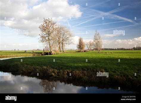 Landscape Of Polder Alblasserwaard South Holland Netherlands Stock