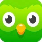 Duolingo App Icon (2013-2019) Meme Generator - Imgflip