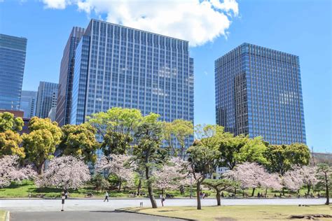 The BEST Place to See Cherry Blossoms in Japan! - The Wandering Quinn ...