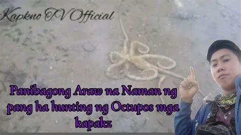 Panibagong Araw Na Naman Ng Pang Hu Hunting Ng Mga Octupos Mga Kapaks