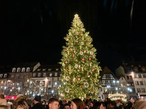 Marché de Noël de Strasbourg le grand sapin bientôt installé sur la