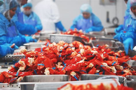 Lukes Lobster Traceable Sustainable Seafood