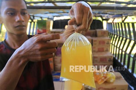 Kebijakan Baru Kemendag Tetapkan Dmo Dan Dpo Minyak Sawit Republika